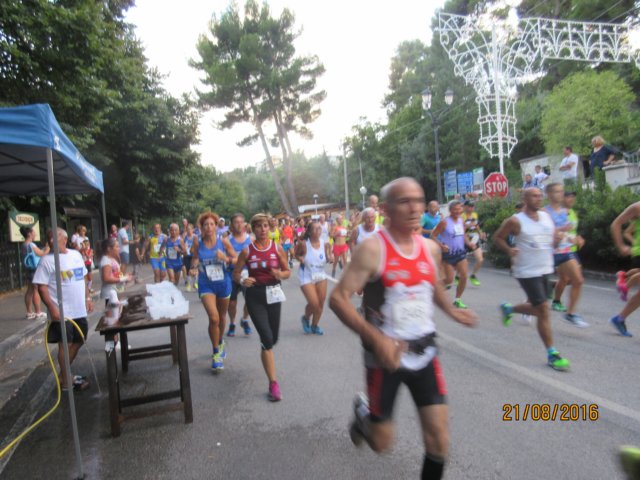 photo16.jpg