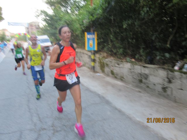 photo96.jpg