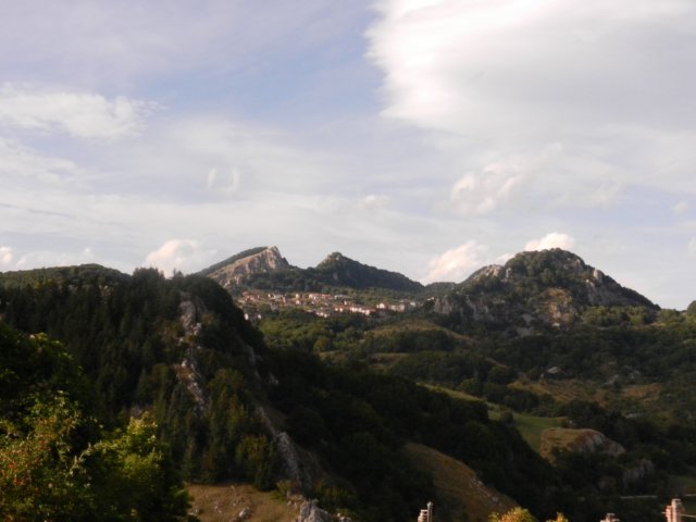 photo19.jpg