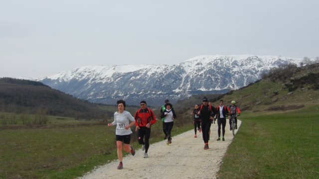 photo24.jpg