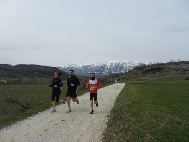 photo25.jpg