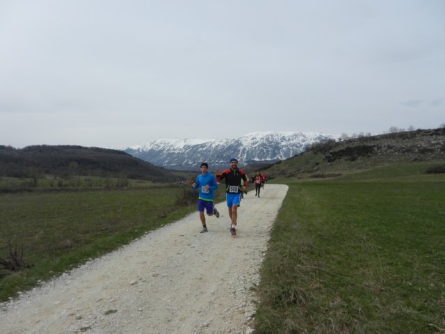 photo26.jpg