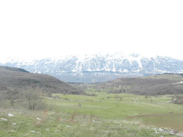 photo33.jpg