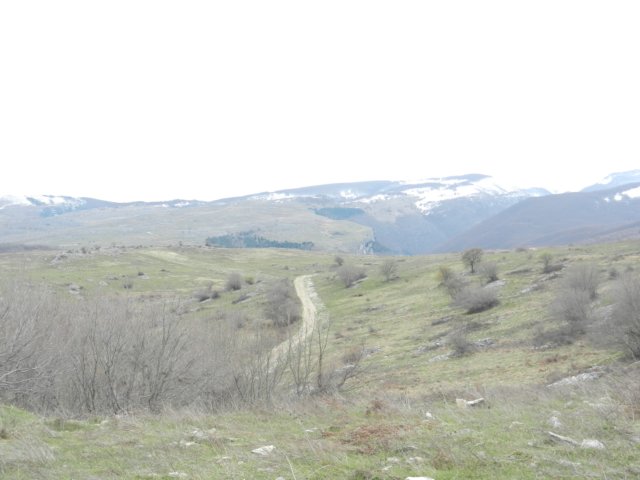 photo34.jpg