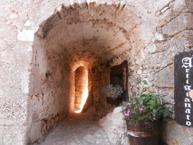 photo49.jpg