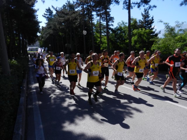 photo11.jpg