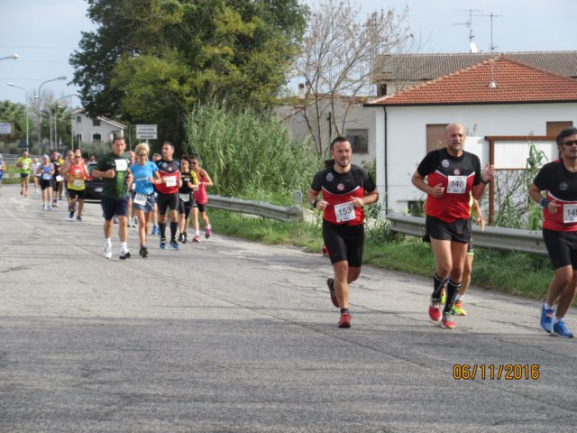 photo29.jpg