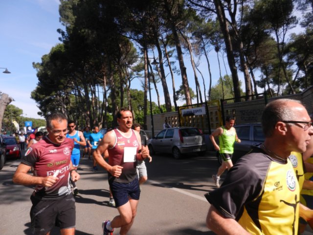 photo11.jpg