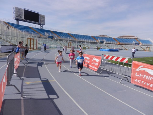 photo15.jpg