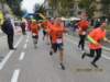 img_8557_small.jpg
