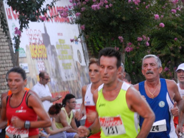 photo175.jpg
