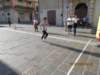 img_2565_small.jpg