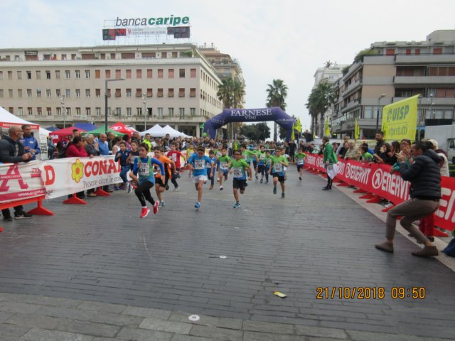 photo39.jpg