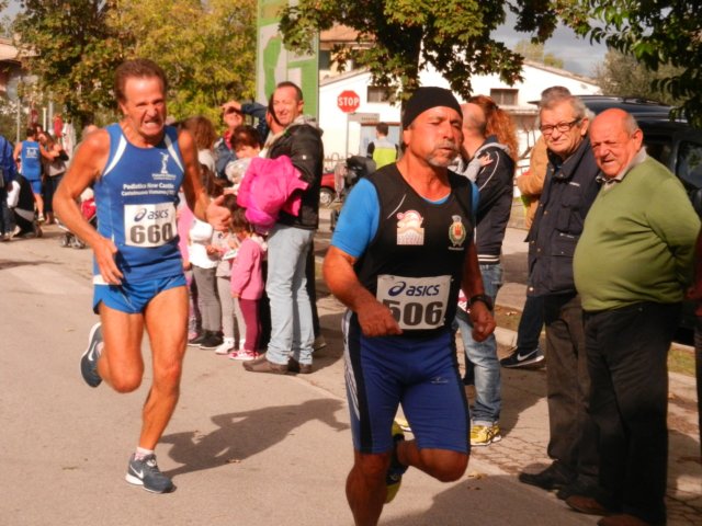 photo80.jpg