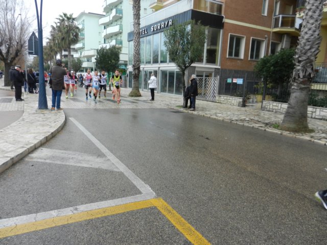 photo15.jpg