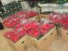 prem_ca_09_001_small.jpg