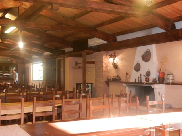 photo16.jpg