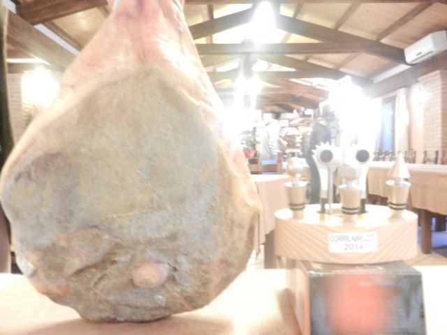 photo4.jpg