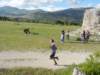 dscn8126_small.jpg