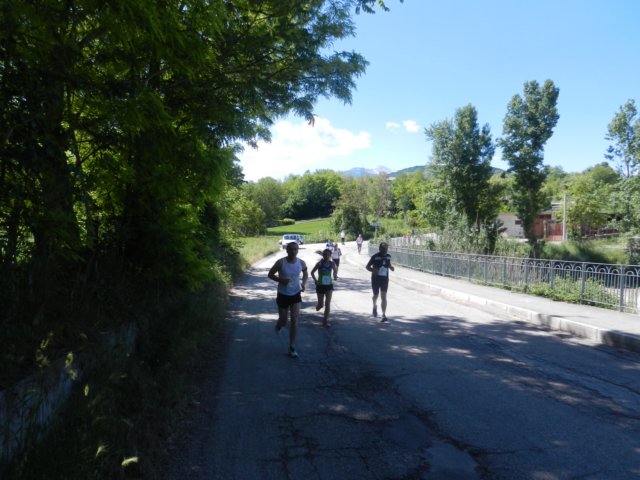 photo68.jpg