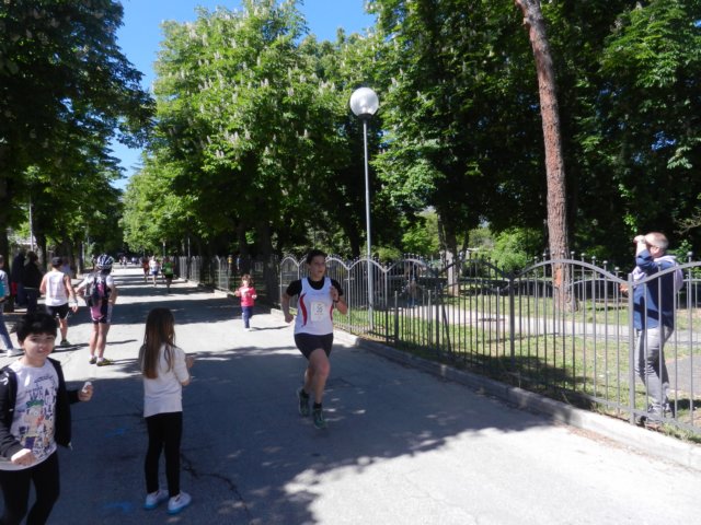photo74.jpg