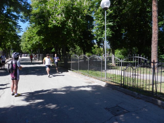 photo76.jpg