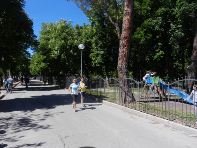 photo81.jpg