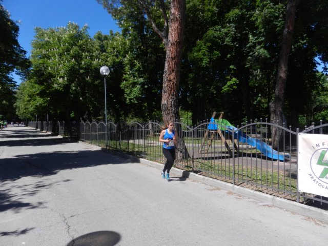 photo85.jpg
