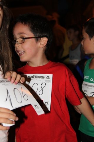 np2010_062.jpg
