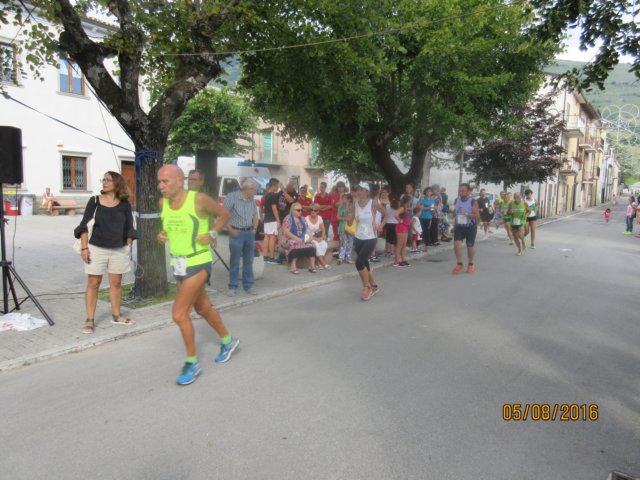 photo62.jpg