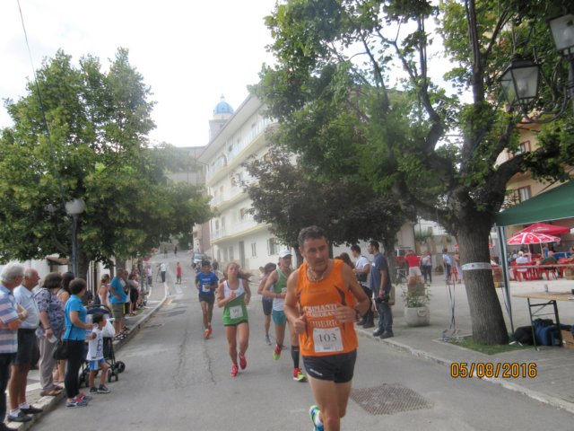 photo76.jpg