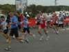 rostia2010_043_small.jpg
