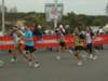 rostia2010_049_small.jpg