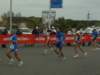 rostia2010_050_small.jpg