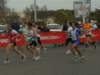 rostia2010_056_small.jpg