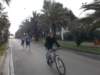 photo13_small.jpg