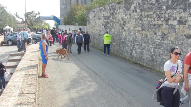 photo13.jpg