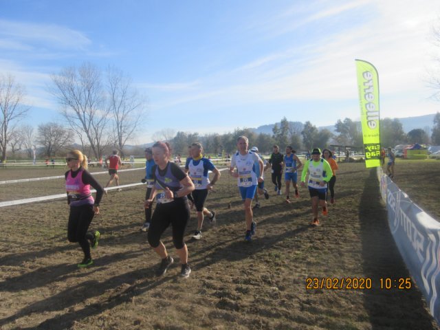 photo26.jpg