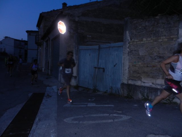 photo82.jpg