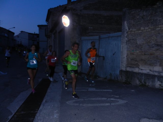 photo87.jpg