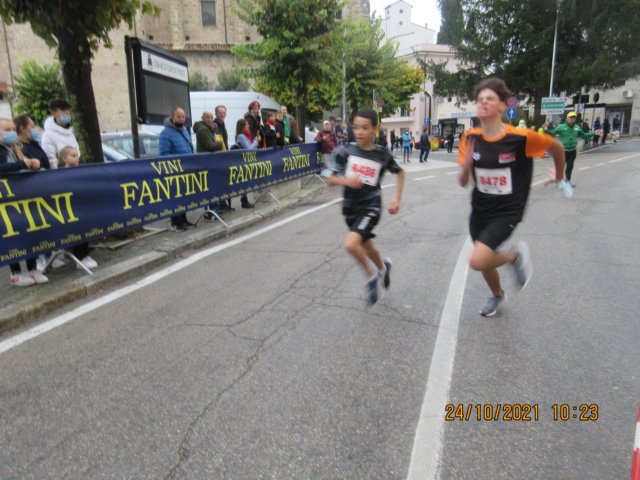 img_8338.jpg