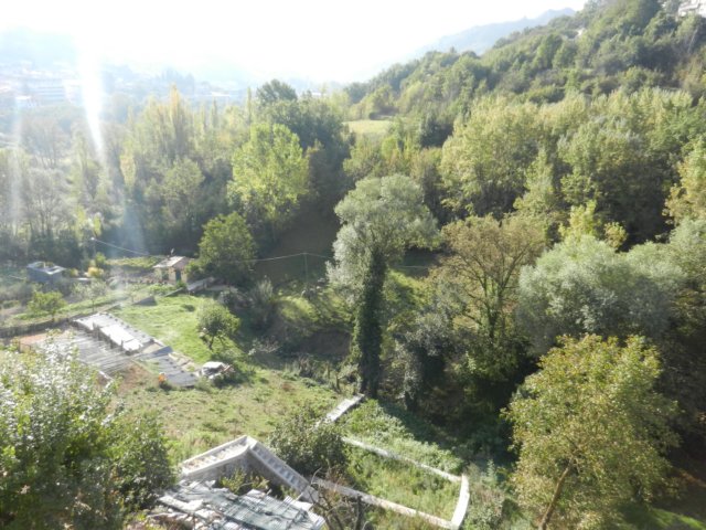 photo.jpg