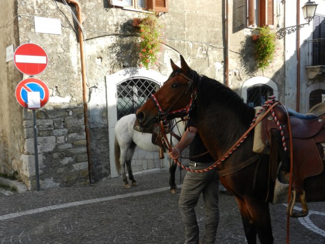 photo13.jpg