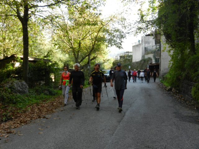 photo17.jpg