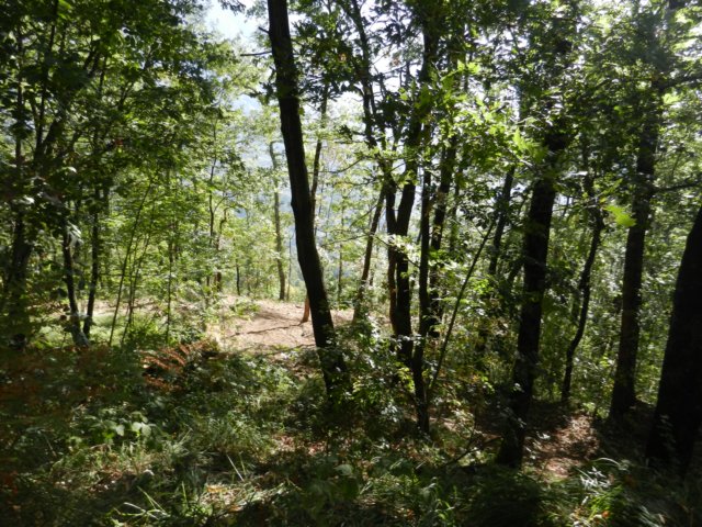 photo23.jpg