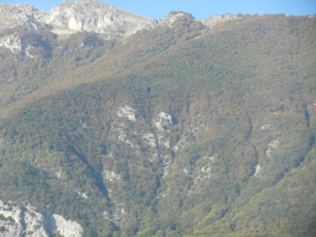 photo4.jpg