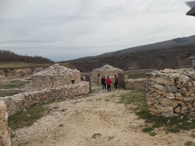 photo.jpg