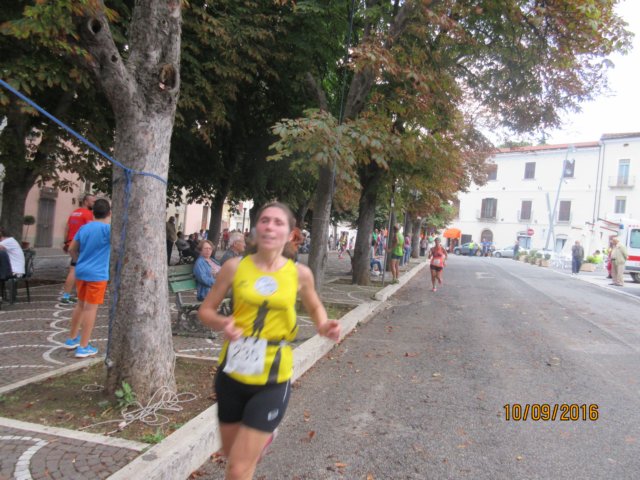 photo61.jpg