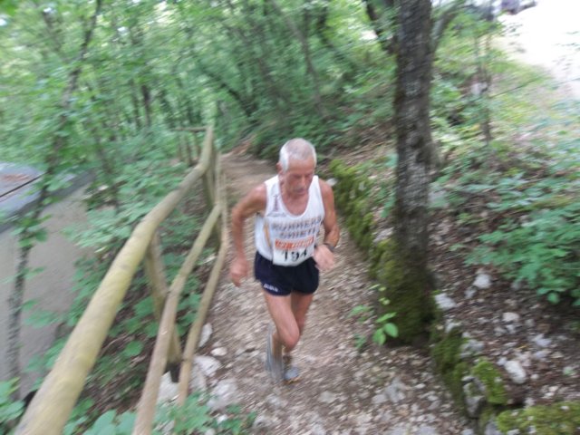 photo17.jpg