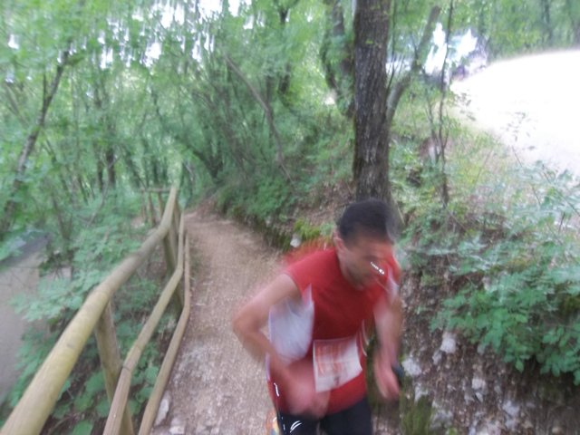 photo19.jpg